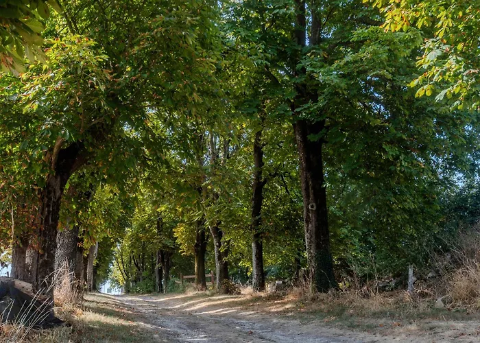 Le Luna Holiday home Vindelle